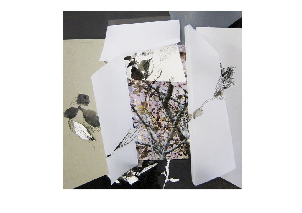 HOJAS DE CENIZA2011. 56 x 56 x 15 cm (Mixta/papel)