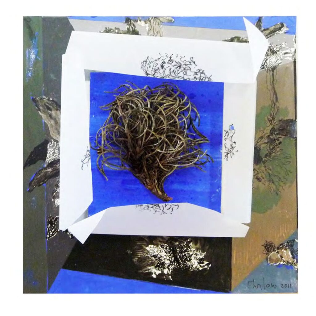 ODEFEIXE2011. 20 x 20 x 6 cm (Mixta/papel)